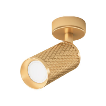 Потолочный светильник MAYTONI FOCUS DESIGN C034CL-01G