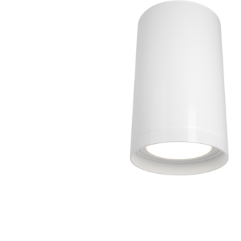 Потолочный светильник MAYTONI FOCUS S C052CL-01W
